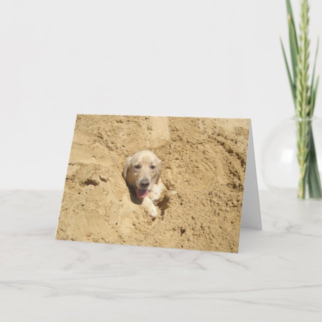 Cartão Golden retriever engraçado (Frente)