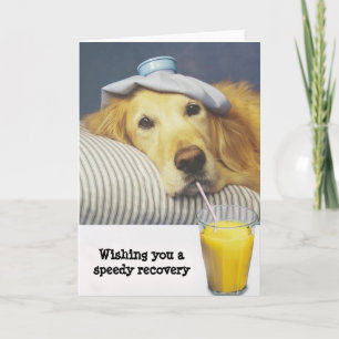Cartão Golden Retriever Get Well Card