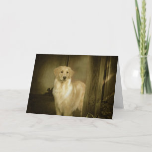 Cartão Golden Retriever Greeting Card Lady In Waiting
