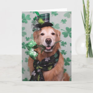 Cartão Golden Retriever Irish St. Patrick’s Day