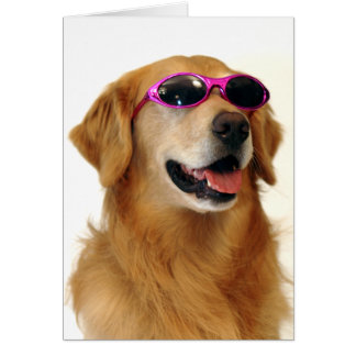 Cartão Golden retriever legal