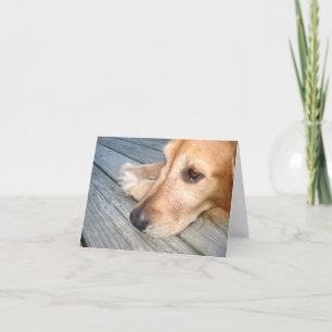 Cartão Golden Retriever Note Card