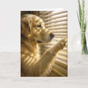 Cartão Golden Retriever Pensando em Você