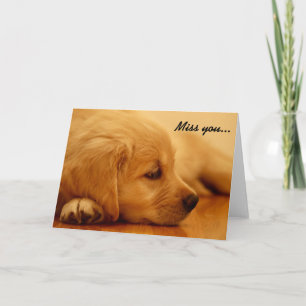 Cartão Golden Retriever Puppy Miss You