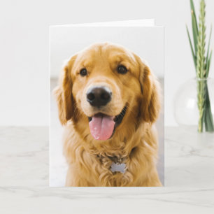 Cartão Golden Retriever Smiling