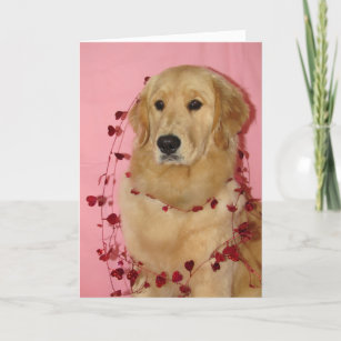 Cartão Golden Retriver Valentine's Day Card