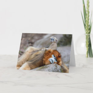 Cartão Golden Snub-nosed Monkey Dad with Baby