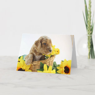 Cartão Goldendoodle Puppy Greeting Card