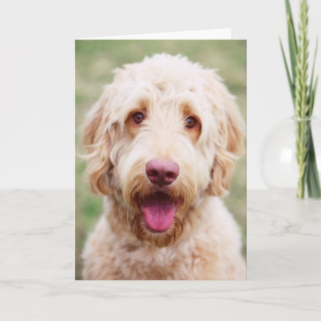 Cartão Goldendoodle sorrindo (Frente)