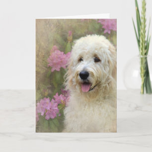 Cartão Goldendoodle with Texture
