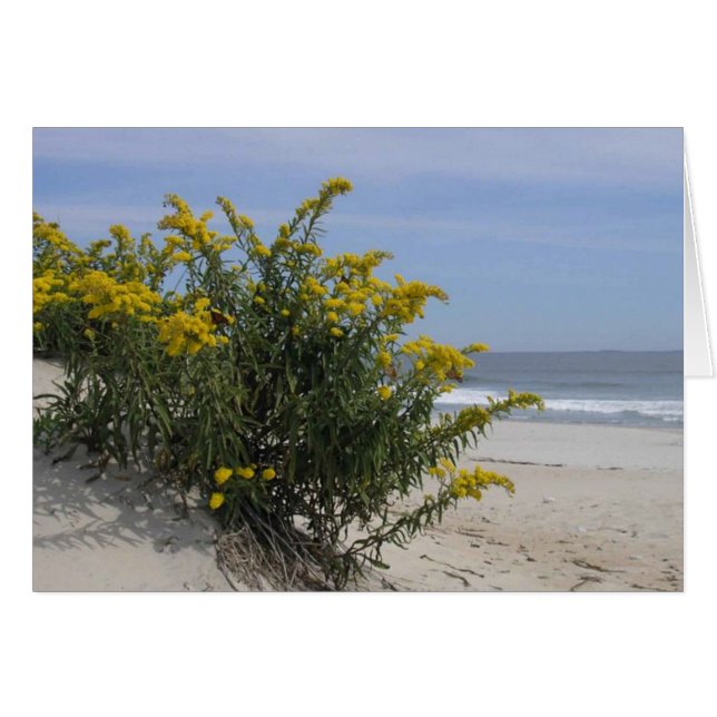 Cartão Goldenrod pelo mar (Frente Horizontal)