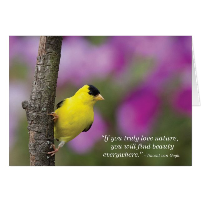 Cartão Goldfinch (Frente horizontal)