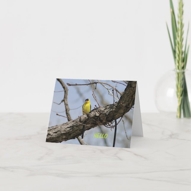 Cartão Goldfinch, brilhante e alegre (Frente)