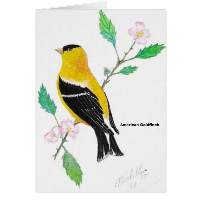 Cartão goldfinch do americam, Goldfinch americano (Frente)