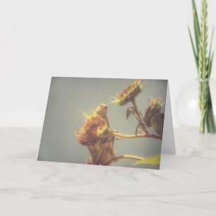 Cartão Goldfinch e uma fotografia retrógrada de girassol