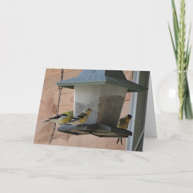 Cartão Goldfinch/elogio (Frente)