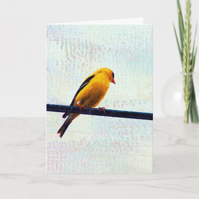 Cartão Goldfinch em uma linha elétrica (Frente)
