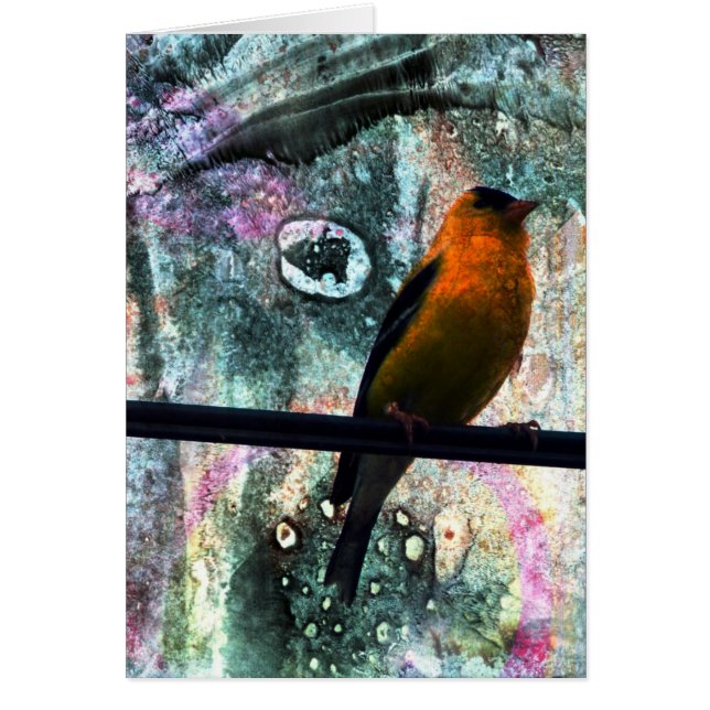 Cartão Goldfinch Grunge (Frente)