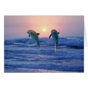 Cartão Golfinho de Gargalos no nascer do sol