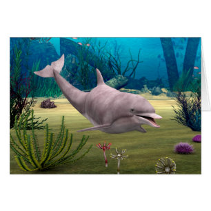 Cartão Golfinho sorridente