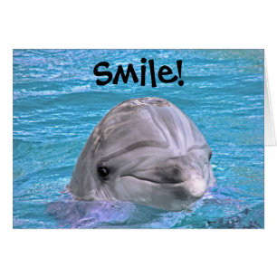 Cartão Golfinho sorridente - Sorria!
