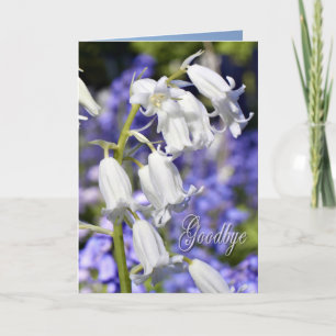 Cartão Goodbye, sympathy card