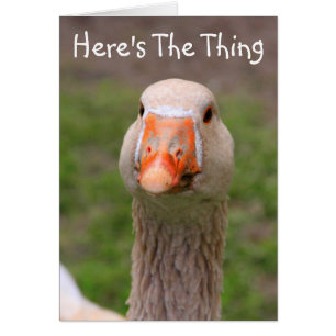 Cartão Goose Realmente Sente Sua Cartaz