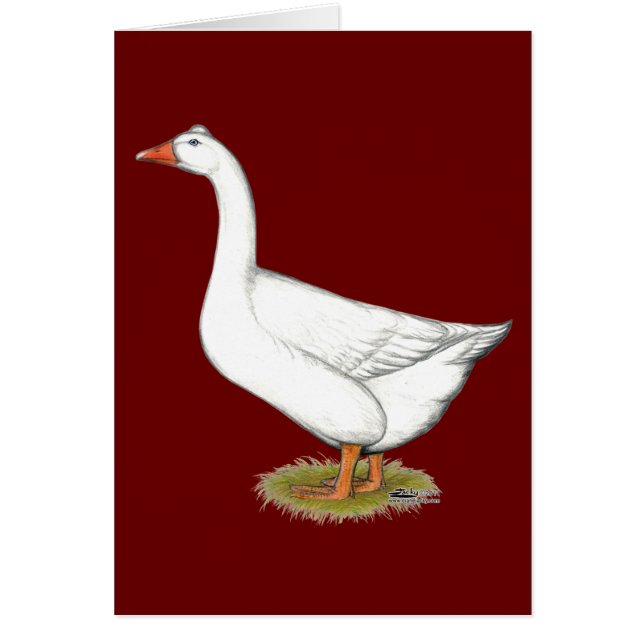 Cartão Goose Roman Tufted (Frente)