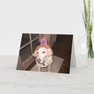 Cartão goosee do Dia das Bruxas