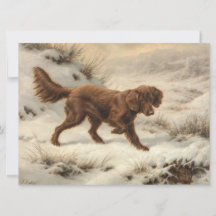 Gordon Setter Dog em uma paisagem de inverno de ne