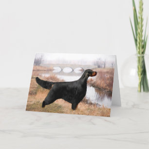 Cartão Gordon Setter Greeting Cards