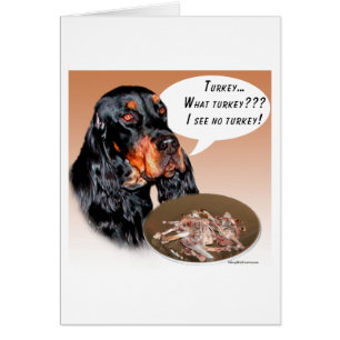 Cartão Gordon Setter Turquia