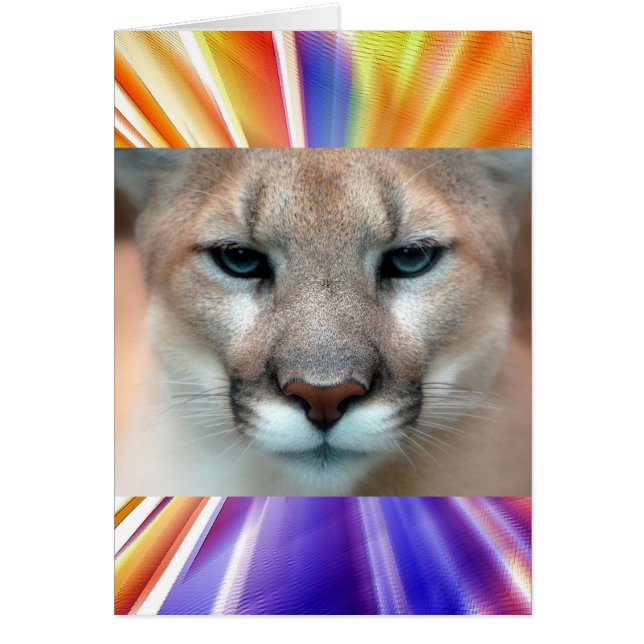 CARTÃO GORGEOSO COUGAR (Frente)