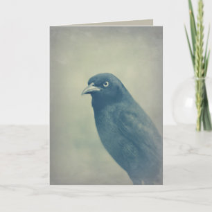 Cartão Gorgeous Raven Photo
