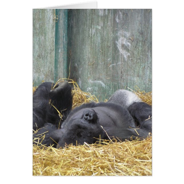 Cartão gorila preguiçoso (Frente)