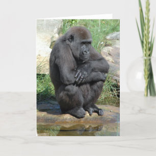 Cartão Gorila Sitting Greeting Card
