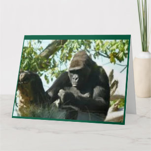 Cartão Gorilla Pensando
