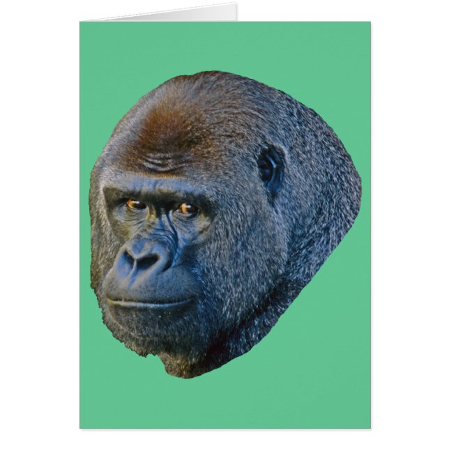 Cartão Gorilla Picture (Frente)