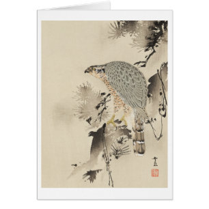 Cartão Goshawk asiático - 1890