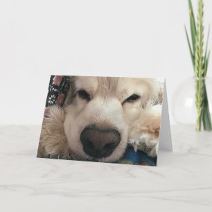 CARTÃO GOSTARIA DE "VER VOCÊ" PARA O SEU ANIVERSÁRIO