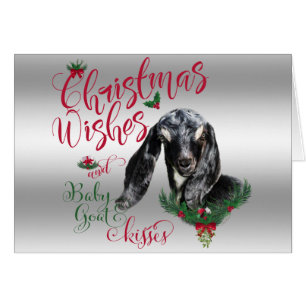 Cartão GOTA O Natal Deseja O Bebê Goat Kisses Nubian