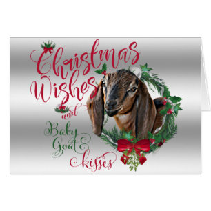Cartão GOTA   O Natal Deseja O Bebê Goat Kisses Nubian 2