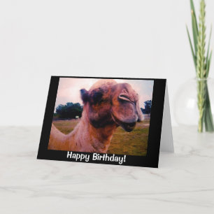 Cartão Gotas Camel Aniversário Saudação