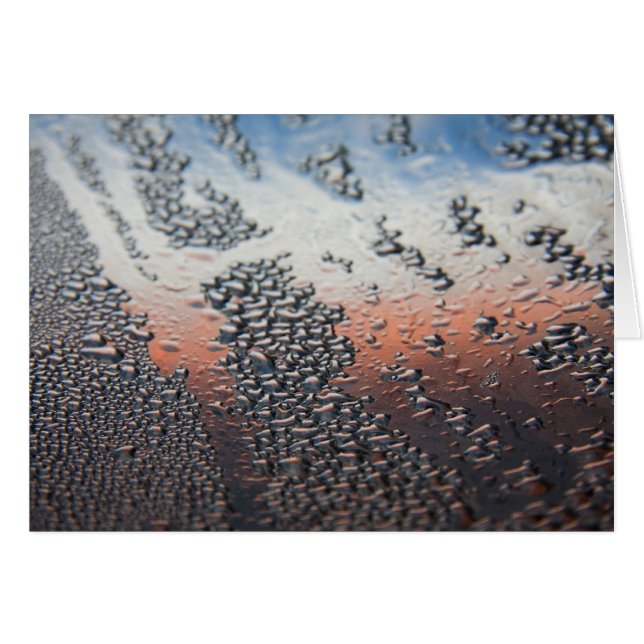 Cartão Gotas de água condensada (Frente horizontal)