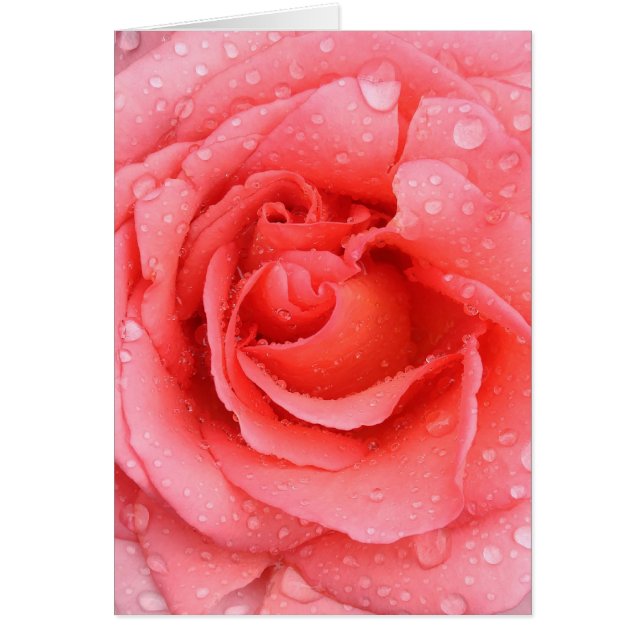Cartão Gotas de água de rosa cor-de-rosa romântica (Frente)