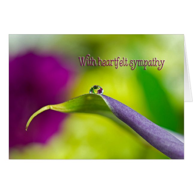 Cartão Gotas De Água De Simpatia Na Folha (Frente Horizontal)