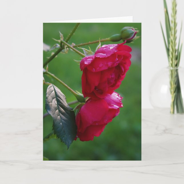 Cartão Gotas de chuva (Frente)