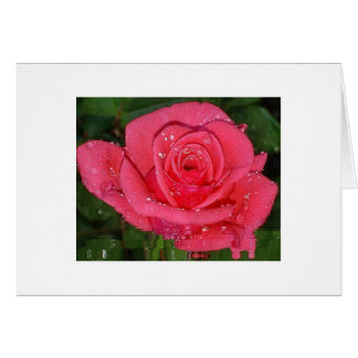 Cartão Gotas de chuva