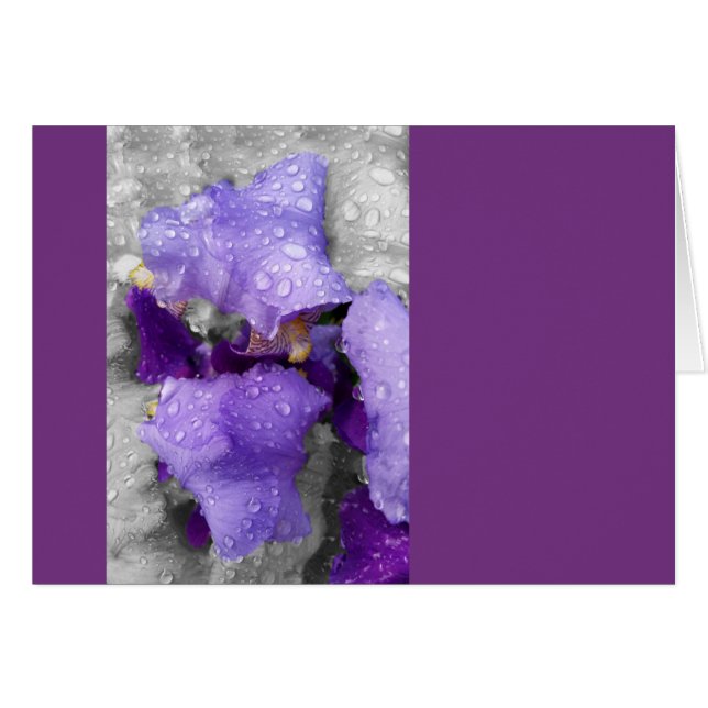 Cartão gotas de chuva na íris (Frente Horizontal)