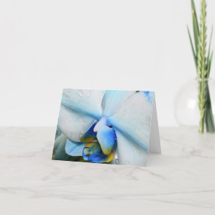 Cartão Gotas na Orquídea Azul